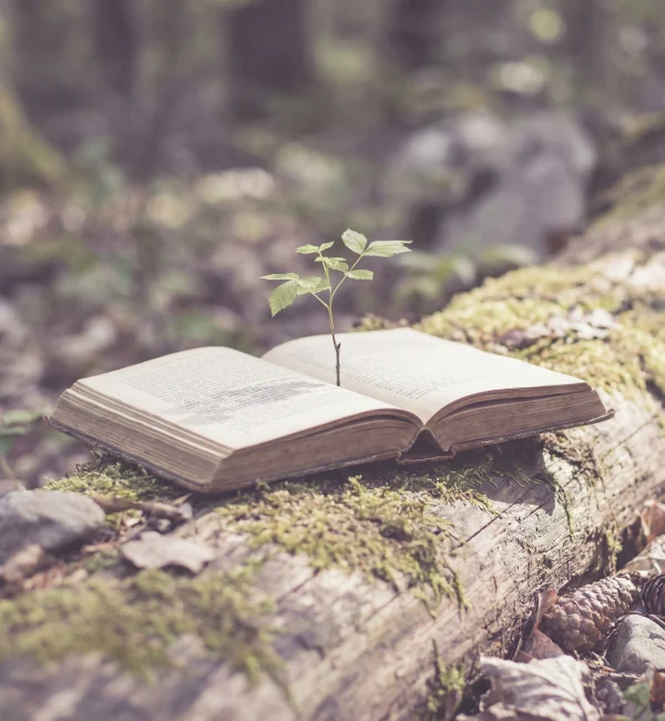 freepik__please-create-a-symbolic-nature-image-for-a-therap__28556